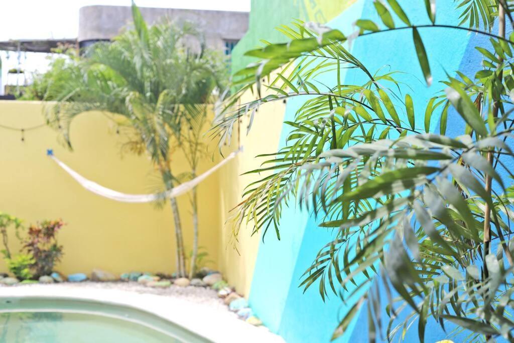 Studio -Trees At Mikasa- Near Beach, Pool, Fast Wifi, Ac & King Bed بويرتو إسكونديدو المظهر الخارجي الصورة